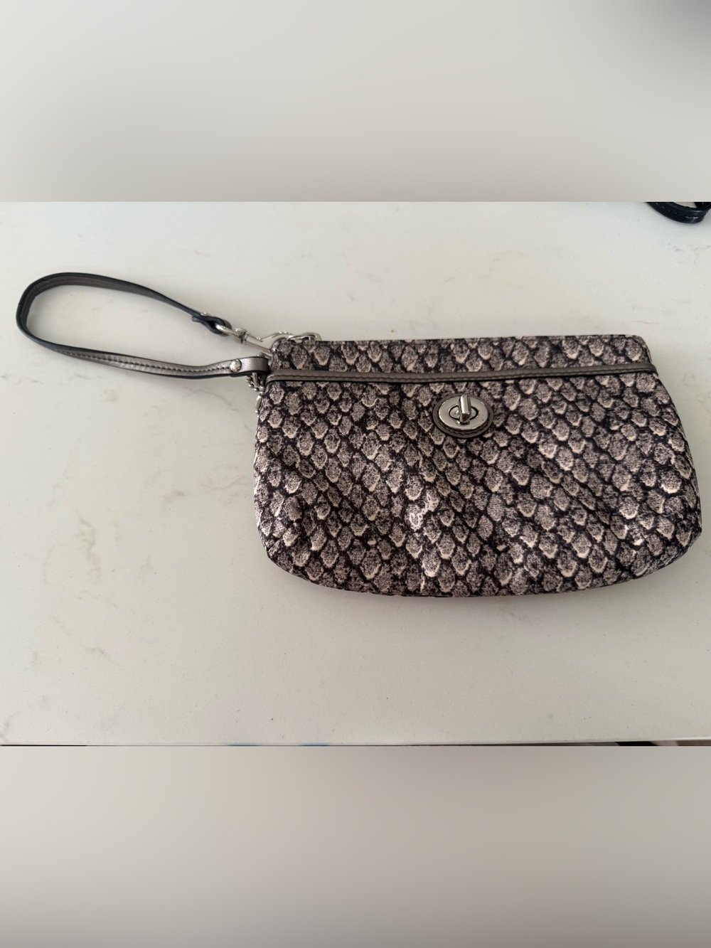Coach Snake-Print Wristlet Clutch